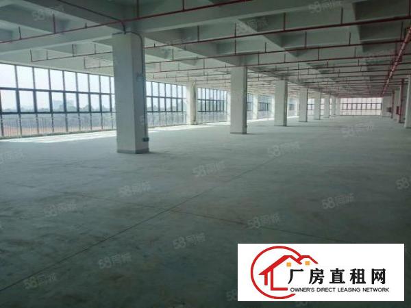  塘厦新建原房东独门独院带红本35600平层高7米厂房出租可分