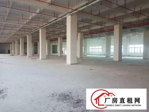  塘厦新建原房东独门独院带红本35600平层高7米厂房出租可分