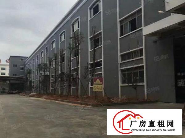  南城蛤地独院厂房分租整层2000平方.现成装修