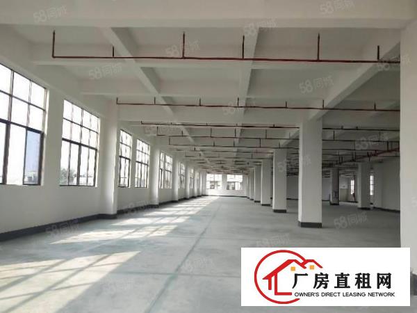  南城蛤地独院厂房分租整层2000平方.现成装修