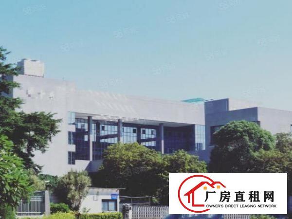  南城蛤地独院厂房分租整层2000平方.现成装修