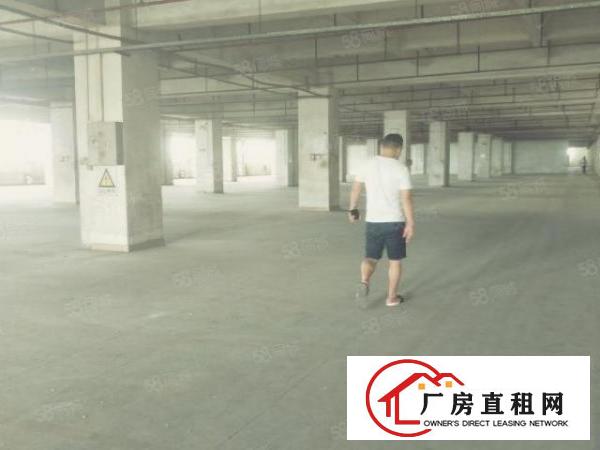  南城蛤地独院厂房分租整层2000平方.现成装修