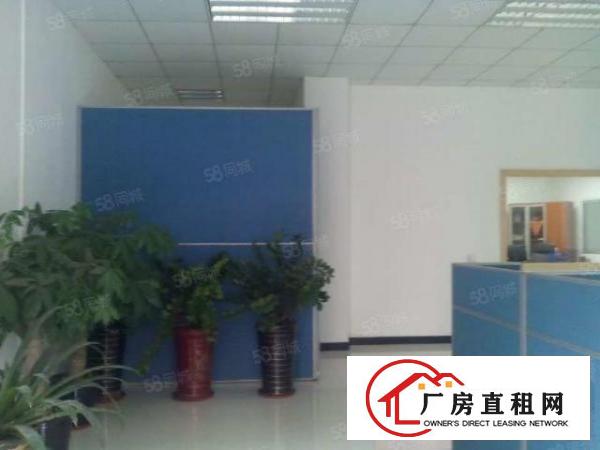  南城厂房出租一楼300平方，便宜,地段好