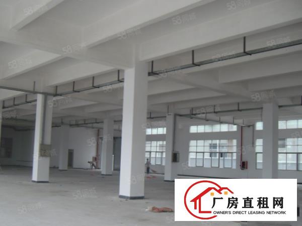  南城厂房出租一楼300平方，便宜,地段好