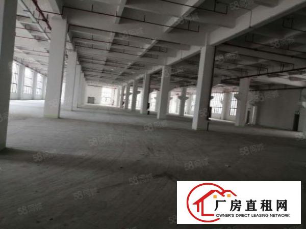  可分租！南城白马独院漂亮大厂房15000平，水电齐全，形象好
