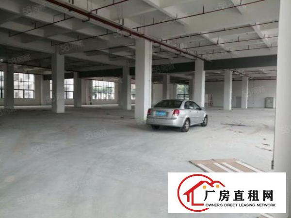  可分租！南城白马独院漂亮大厂房15000平，水电齐全，形象好