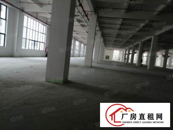  可分租！南城白马独院漂亮大厂房15000平，水电齐全，形象好