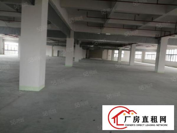  可分租！南城白马独院漂亮大厂房15000平，水电齐全，形象好