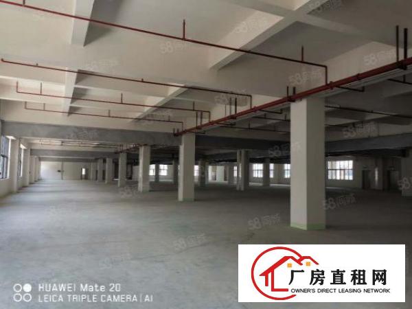  可分租！南城白马独院漂亮大厂房15000平，水电齐全，形象好