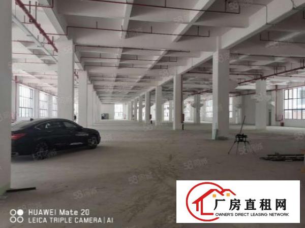  可分租！南城白马独院漂亮大厂房15000平，水电齐全，形象好