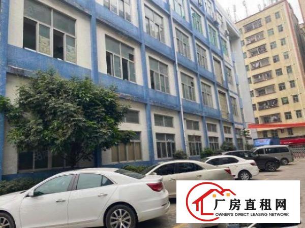  凤岗五联新出原房东带红本1500平厂房出租带精装修大小可分租