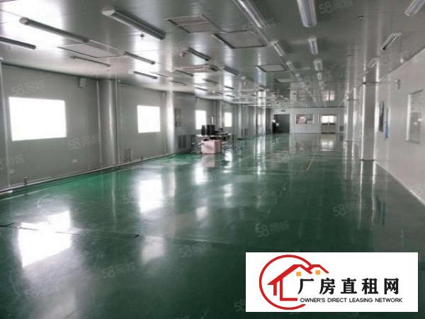  南城西平周溪石鼓工业园无尘车间厂房出租可做口罩医疗药品