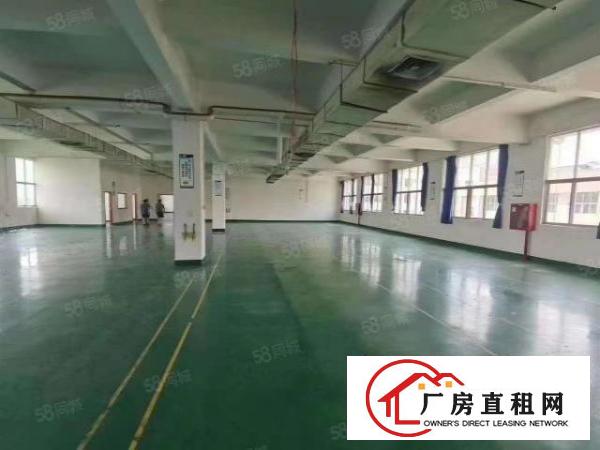  塘厦新出独院厂房出租3层7380平出租分租空地超大