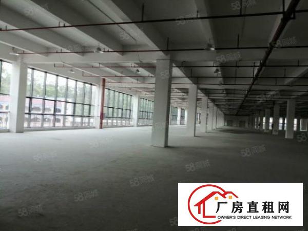  南城全新30000平方物流园！有卸货平台！喷淋消防！丙二类消