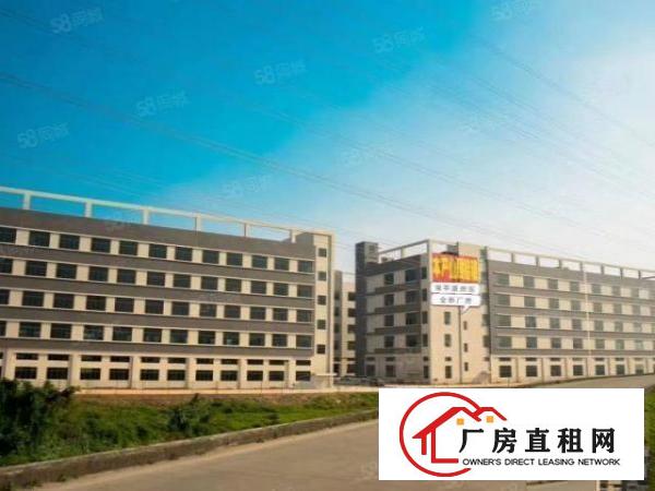  常平镇原房东厂房出租全新厂房6万平米出租500平起租