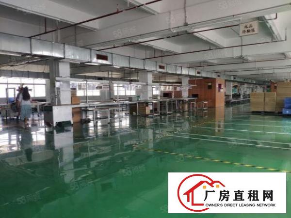  南城西平新空金典原房东小独院，现成装修水电齐全，合适可面议！