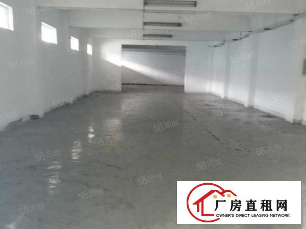  南城西平独栋独院厂房2600平方3层现成豪华装修无转让费