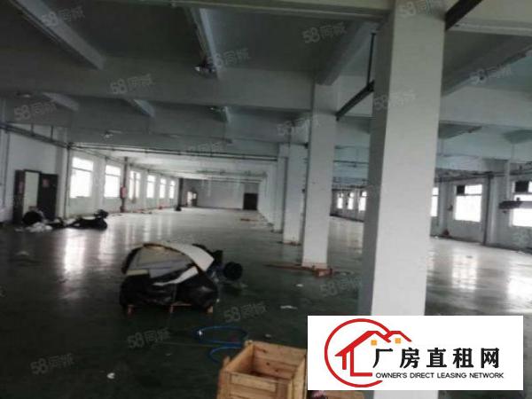  南城西平独栋独院厂房2600平方3层现成豪华装修无转让费