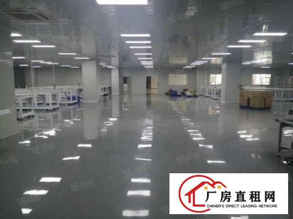  南城西平独栋独院厂房2600平方3层现成豪华装修无转让费