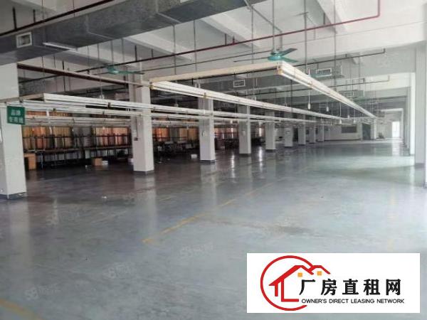  全新装修独门独院厂房12500平方，工业用地可办环评