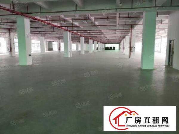  南城西平新空原房东上市形象厂房，楼上整层1000平方大小可分