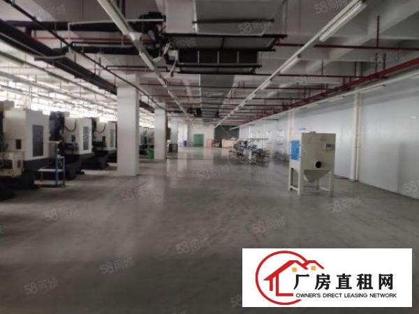  南城西平新空原房东上市形象厂房，楼上整层1000平方大小可分