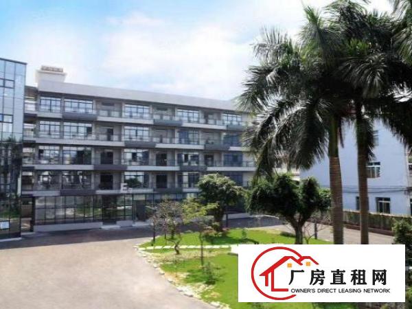  南城行政中心办公室，电子商务场地出租500平，可分200平