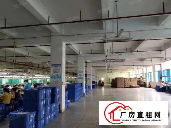  南城独院厂房出租共5000平方，形象好