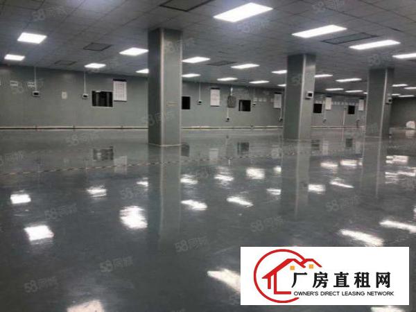  东城全新装修3000平方厂房出租，可办环评，可做食品加工
