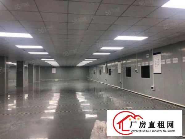 东城全新装修3000平方厂房出租，可办环评，可做食品加工