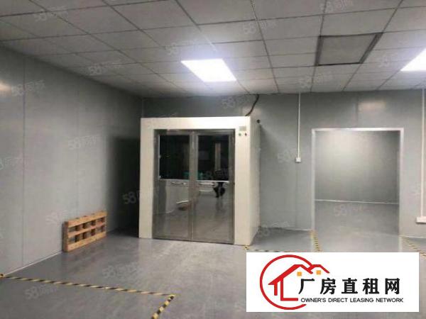  东城全新装修3000平方厂房出租，可办环评，可做食品加工