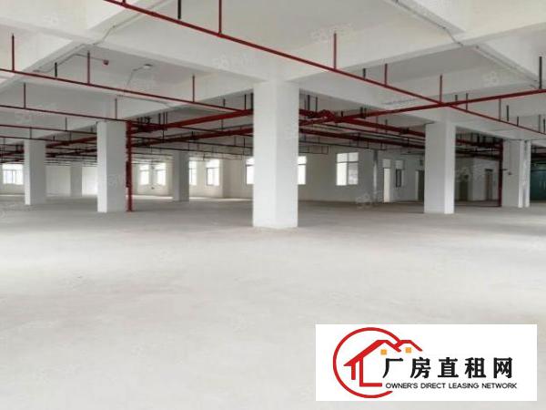  全新厂房分租原房东红本国有产权标准厂房出租证件齐全可办环评