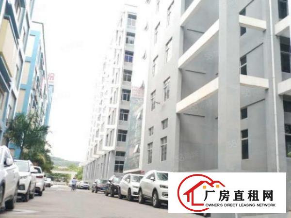 全新厂房分租原房东红本国有产权标准厂房出租证件齐全可办环评