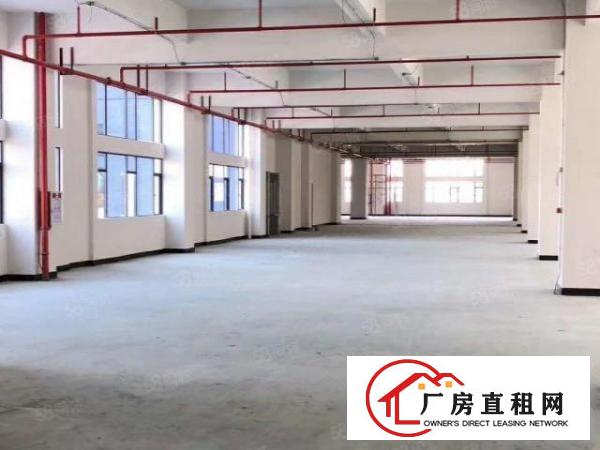  南城蛤地空出一楼2200平方，可做仓库