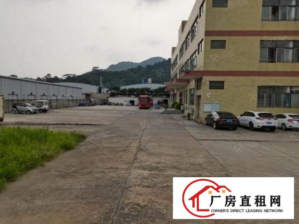  凤岗雁田附近新出原房东10000平超大空地花园式可分租厂房