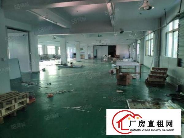  南城厂房出租一楼800平方,价格便宜!急租