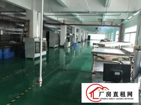  南城厂房出租一楼800平方,价格便宜!急租