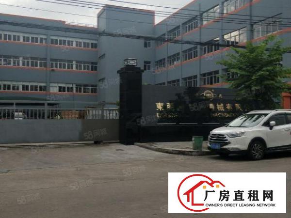 南城厂房出租一楼800平方,价格便宜!急租