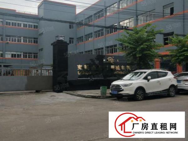  南城厂房出租一楼800平方,价格便宜!急租
