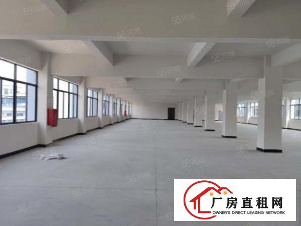  凤岗雁田原房东独门独院花园式6千平厂房出租超大空地大小可分租