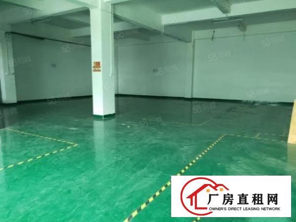  凤岗雁田原房东独门独院花园式6千平厂房出租超大空地大小可分租