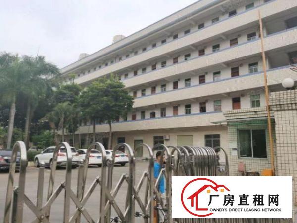  凤岗雁田原房东独门独院花园式6千平厂房出租超大空地大小可分租