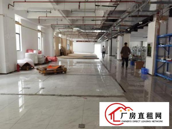  出租|清溪三中工业园区五楼2800平带豪华装修厂房出租可分租