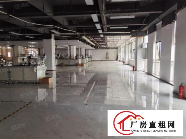  出租|清溪三中工业园区五楼2800平带豪华装修厂房出租可分租