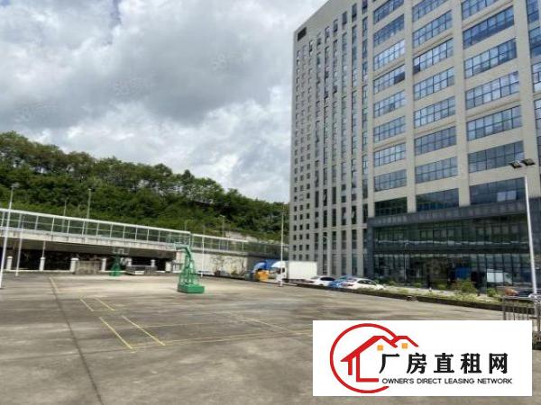 出租|清溪三中工业园区五楼2800平带豪华装修厂房出租可分租