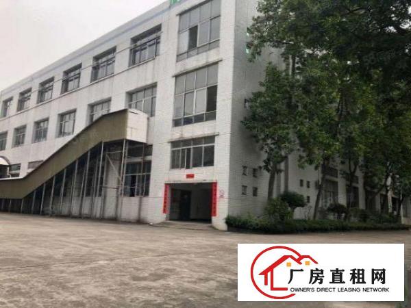  凤岗雁田新出原房东带红本独院31800平无尘车间厂房出租可分
