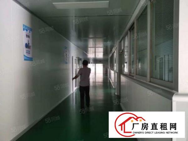  凤岗雁田新出原房东带红本独院31800平无尘车间厂房出租可分