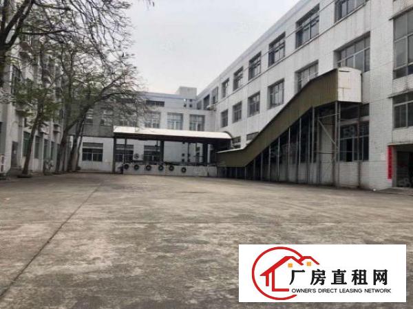  凤岗雁田新出原房东带红本独院31800平无尘车间厂房出租可分