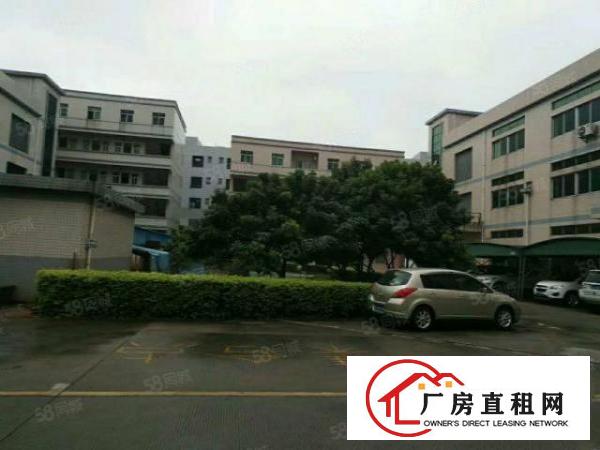  南城蛤地下周空出一楼厂房550平方，可做仓库
