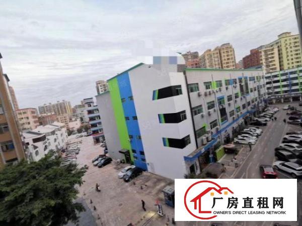  出租|清溪原房东带红本2200平带精装修办公室厂房出租可分租